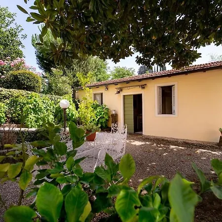 * Fiorentina - Private Oasis In Town *